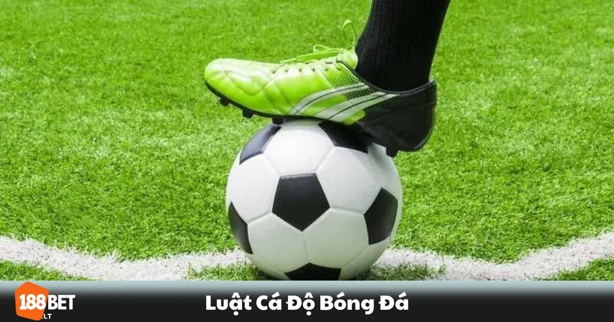 Luật Cá Độ Bóng Đá 188bet: Những Điều Người Chơi Cần Biết 2 Luật Cá Độ Bóng Đá 188bet: Những Quy Định Quan Trọng Khi Đặt Cược Bóng Đá